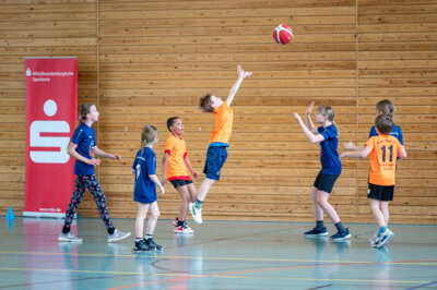 Foto des Albums: Alba Schulcup 2024