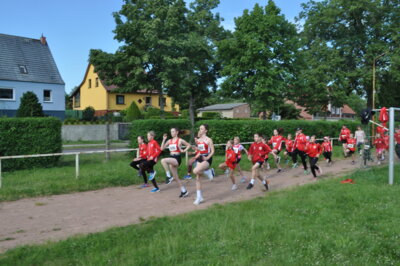Foto des Albums: 19. Brüssower Pokallauf