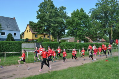 Foto des Albums: 19. Brüssower Pokallauf