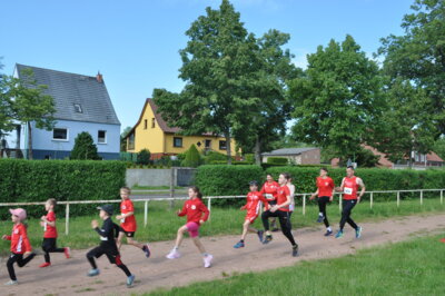 Foto des Albums: 19. Brüssower Pokallauf