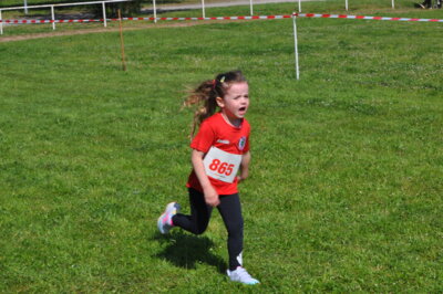 Foto des Albums: 19. Brüssower Pokallauf