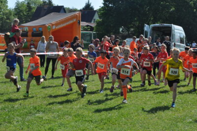 Foto des Albums: 19. Brüssower Pokallauf