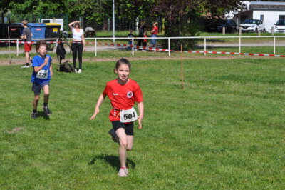Foto des Albums: 19. Brüssower Pokallauf