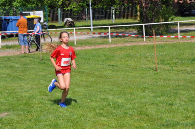 Foto des Albums: 19. Brüssower Pokallauf