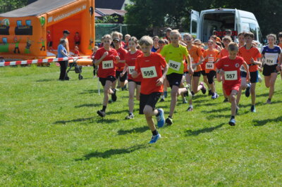 Foto des Albums: 19. Brüssower Pokallauf