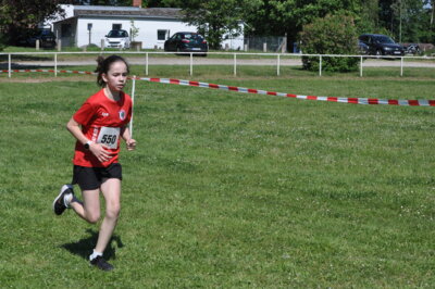 Foto des Albums: 19. Brüssower Pokallauf