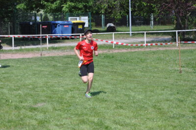 Foto des Albums: 19. Brüssower Pokallauf