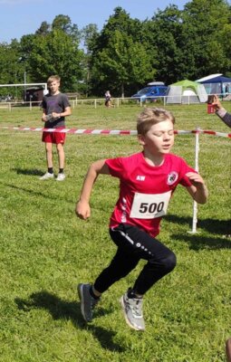 Foto des Albums: 19. Brüssower Pokallauf (21.​05.​2024)