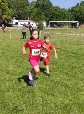 Foto des Albums: 19. Brüssower Pokallauf (21.​05.​2024)