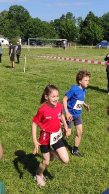 Foto des Albums: 19. Brüssower Pokallauf (21.​05.​2024)