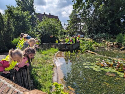 Foto des Albums: Ausflug der Vorschulkinder