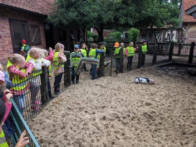 Foto des Albums: Ausflug der Vorschulkinder