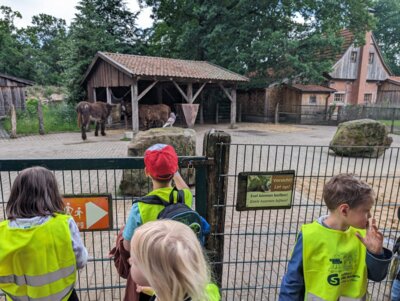 Foto des Albums: Ausflug der Vorschulkinder