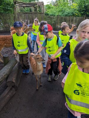 Foto des Albums: Ausflug der Vorschulkinder