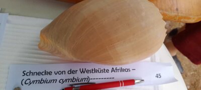 Foto des Albums: Objekte zum Verlieben und Mitnehmen