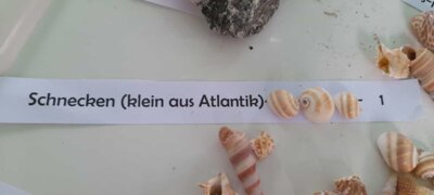 Foto des Albums: Objekte zum Verlieben und Mitnehmen