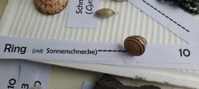 Foto des Albums: Objekte zum Verlieben und Mitnehmen