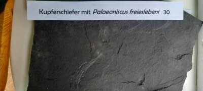 Foto des Albums: Objekte zum Verlieben und Mitnehmen