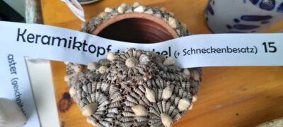 Foto des Albums: Objekte zum Verlieben und Mitnehmen