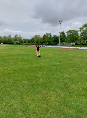 Foto des Albums: Sportfest 2024