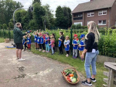Foto des Albums: Wir bepflanzen unser Hochbeet