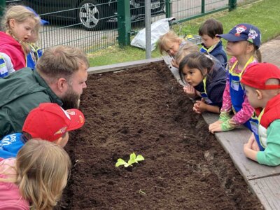 Foto des Albums: Wir bepflanzen unser Hochbeet