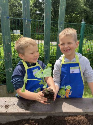 Foto des Albums: Wir bepflanzen unser Hochbeet