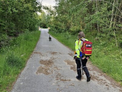 Fotoalbum Übung mit der Rettungshundestaffel Donautal