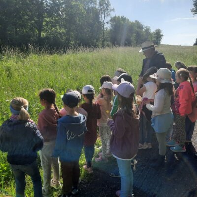 Foto des Albums: Wiesenüberraschung
