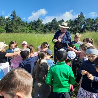 Foto des Albums: Wiesenüberraschung