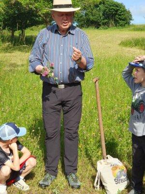 Foto des Albums: Wiesenüberraschung