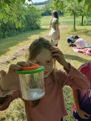 Foto des Albums: Wiesenüberraschung