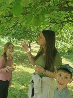 Foto des Albums: Wiesenüberraschung
