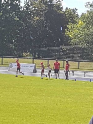 Foto des Albums: LM U12_U14, Ludwigsfelde, 15.06._16.06.2024