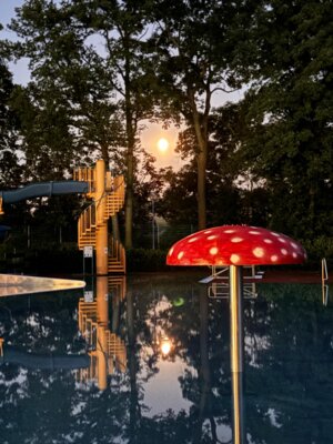 Foto des Albums: Summer Oper Air 2024