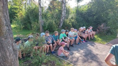 Foto des Albums: Klara Köcherfliege zu Gast an der Wollbach