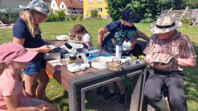 Foto des Albums: Klara Köcherfliege zu Gast an der Wollbach