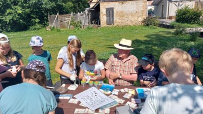 Foto des Albums: Klara Köcherfliege zu Gast an der Wollbach