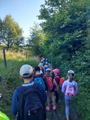 Foto des Albums: Wandertag Juli 2024