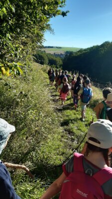Foto des Albums: Wandertag Juli 2024