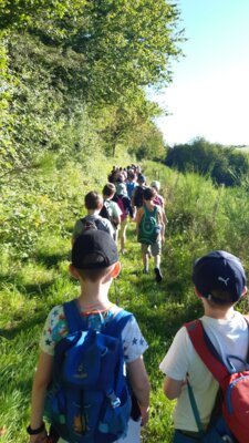 Foto des Albums: Wandertag Juli 2024