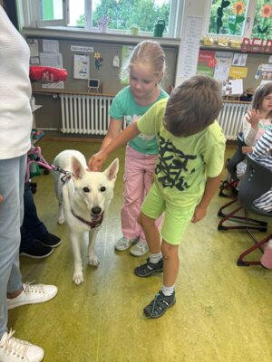 Foto des Albums: Tierischer Besuch im Schulhaus in Wollbach