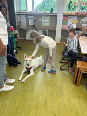 Foto des Albums: Tierischer Besuch im Schulhaus in Wollbach