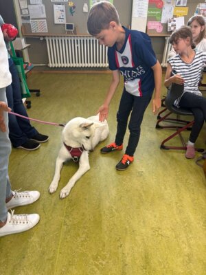 Foto des Albums: Tierischer Besuch im Schulhaus in Wollbach