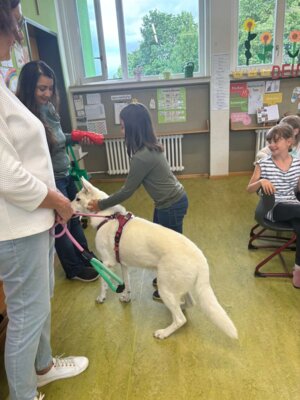 Foto des Albums: Tierischer Besuch im Schulhaus in Wollbach
