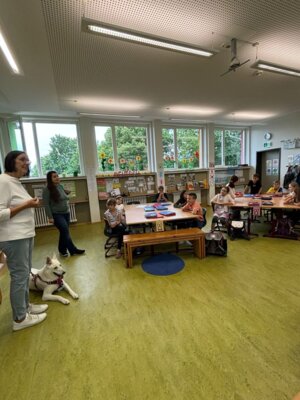 Foto des Albums: Tierischer Besuch im Schulhaus in Wollbach