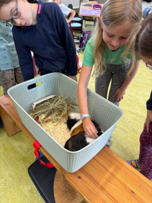 Foto des Albums: Tierischer Besuch im Schulhaus in Wollbach