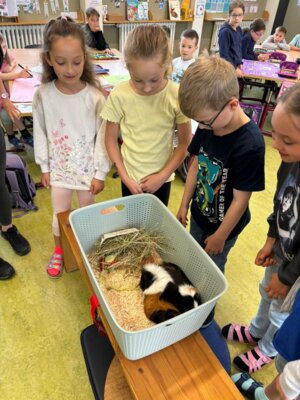 Foto des Albums: Tierischer Besuch im Schulhaus in Wollbach
