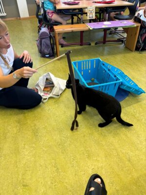 Foto des Albums: Tierischer Besuch im Schulhaus in Wollbach