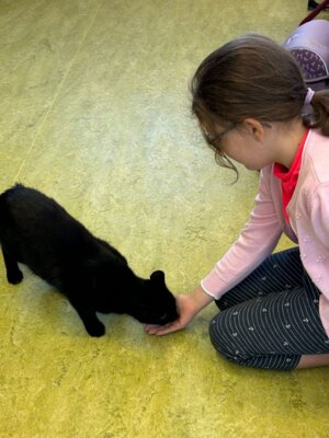 Foto des Albums: Tierischer Besuch im Schulhaus in Wollbach